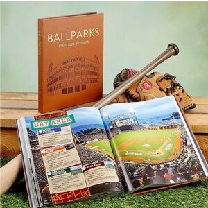 Leather edition Ballparks Past and Present